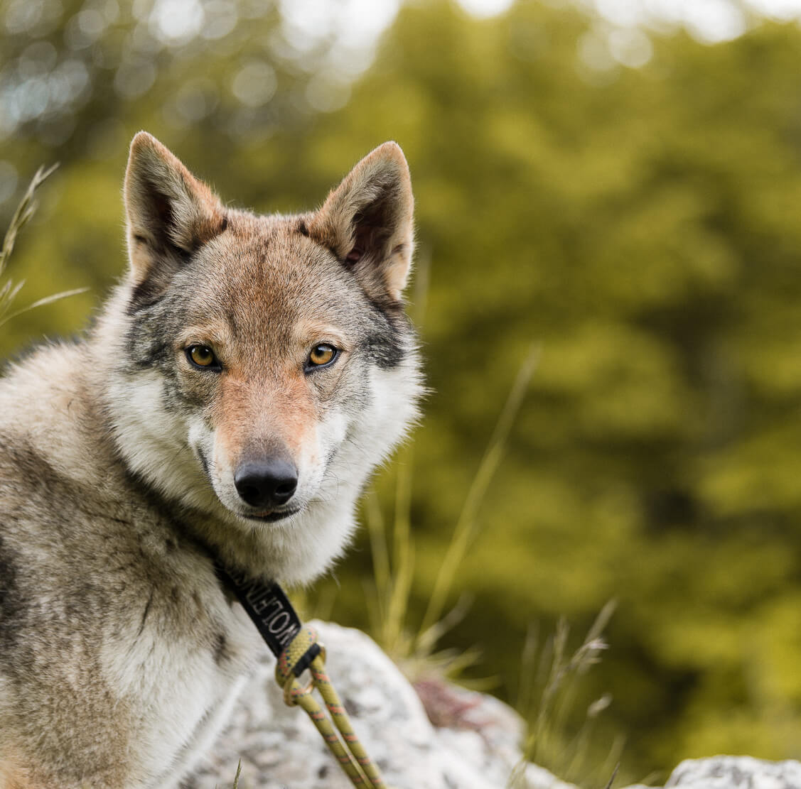 Outdoor Fotoreportage